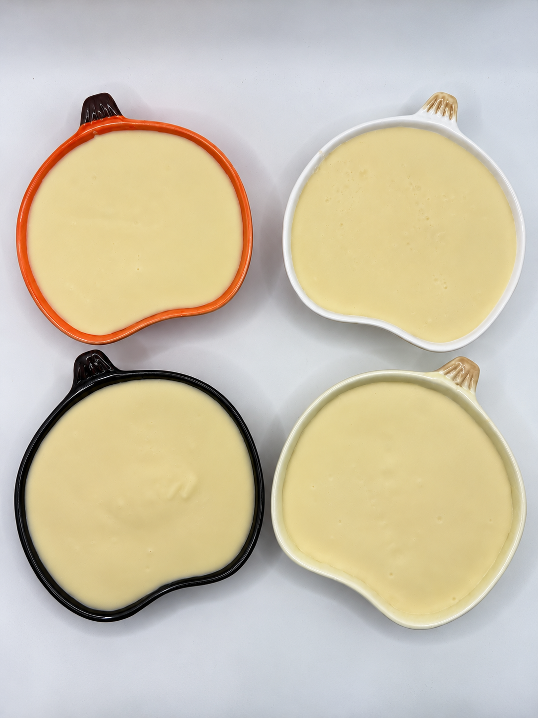 Wild Kitchen Solid Dish Soap Set