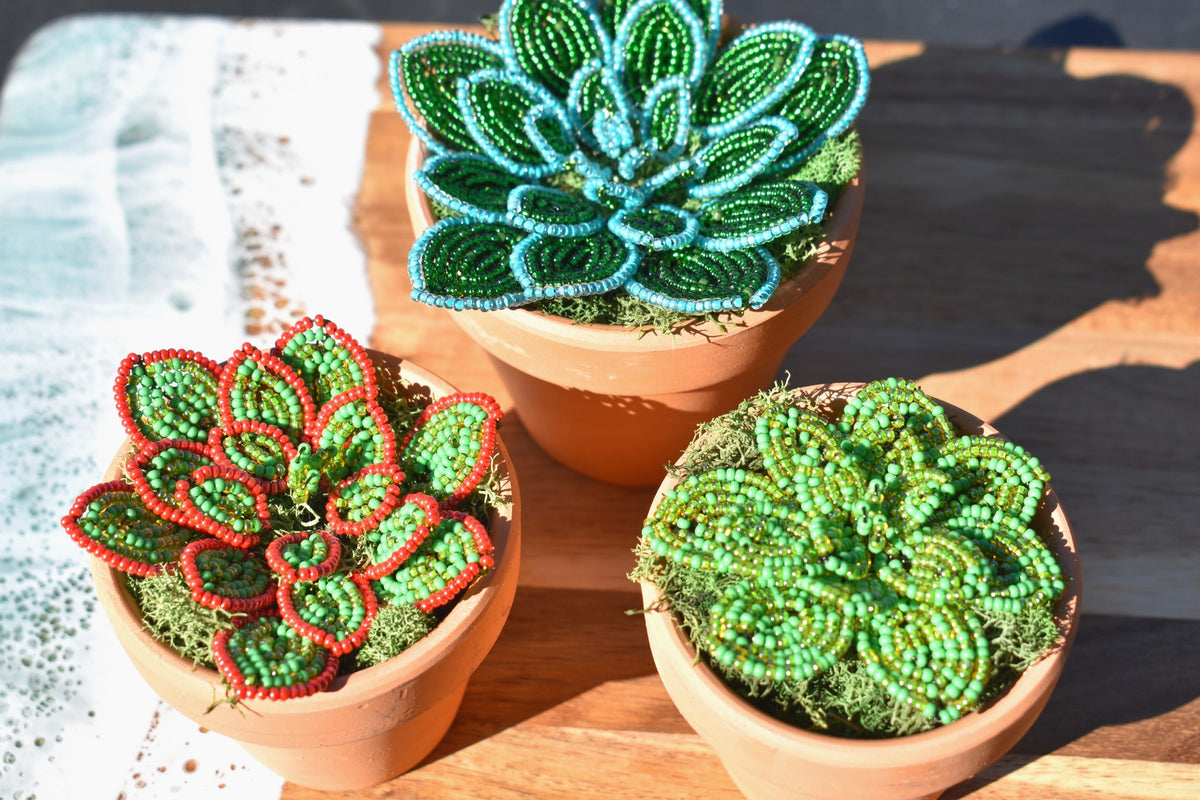 French Beaded Succulent