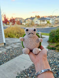 Crochet Grumpy Turtle
