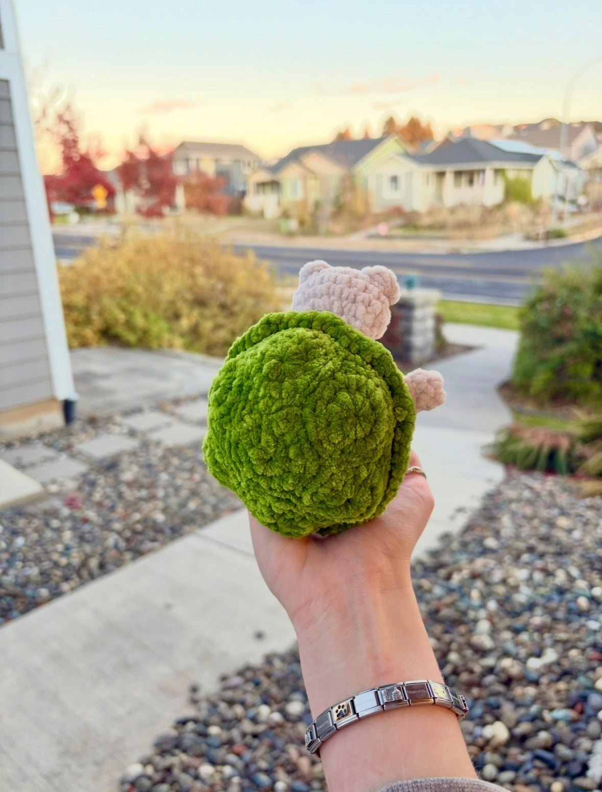 Crochet Grumpy Turtle