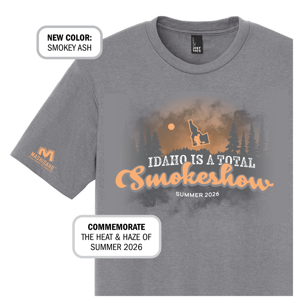 Idaho is a Total Smokeshow - Smokey Ash Tee