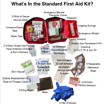 Standard First Aid Kit